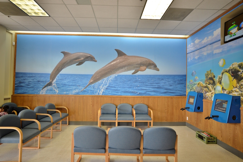 San Jose Teen Dental Clinic