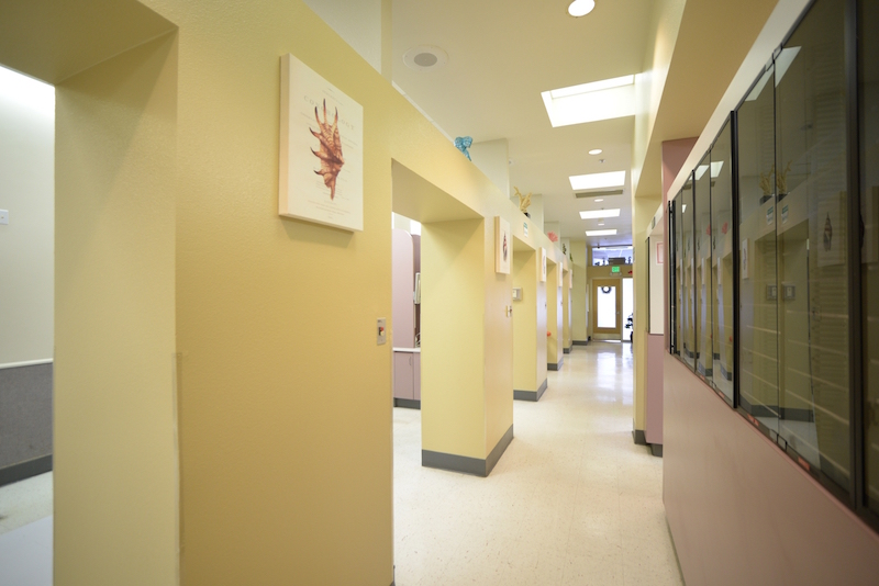 San Jose Teen Dental Clinic