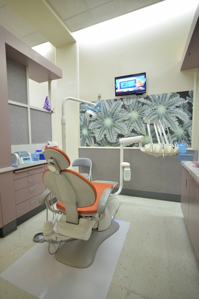 San Jose Teen Dental Dentistry